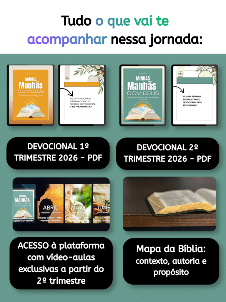 site (29)